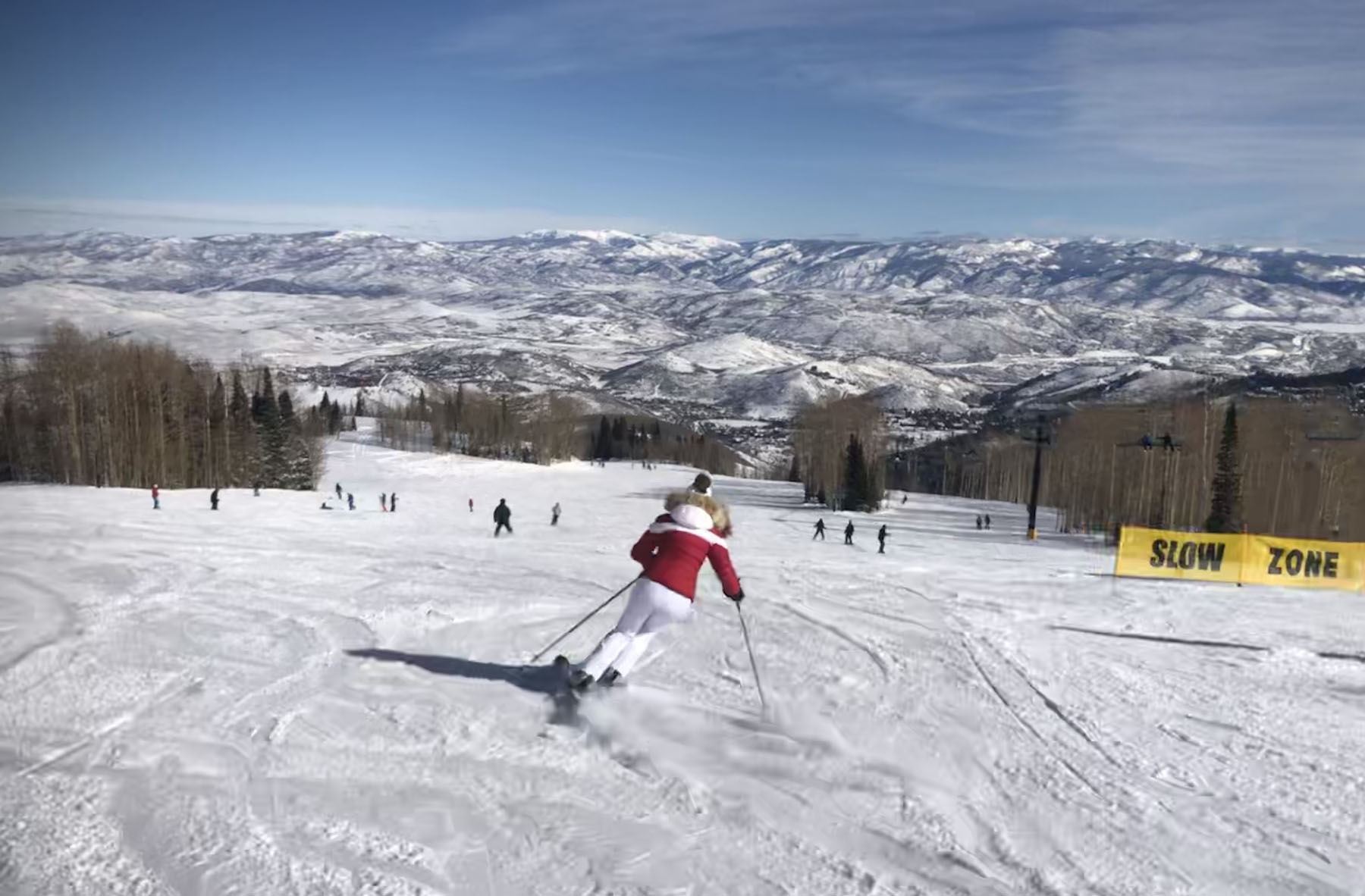 are dogs allowed at park city mountain resort